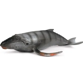 Dječje spoznaje čvrsto modeliranje morskih životinja model igračke siva kitopsina kitopsina podvodne biološke ukras